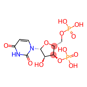 Uridine 3',5'-bisphosphoric acid