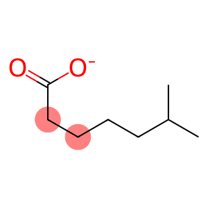 Isooctanoate