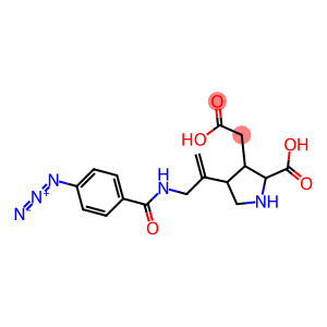 4-(1-(4-azidobenzamidomethyl)ethenyl)-2-carboxypyrrolidin-3-ylacetic acid