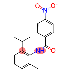 AURORA 577