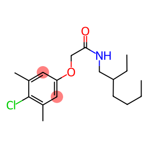 AURORA 784