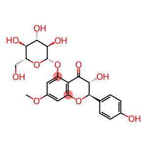 AROMADENDRIN 7-O-METHYL ETHER 5-O-GLUCOSIDE