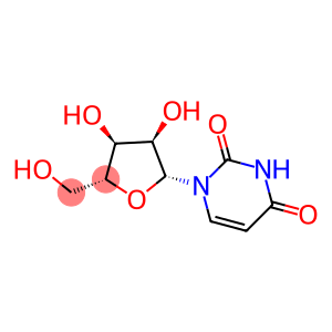 ANTI-URIDINE