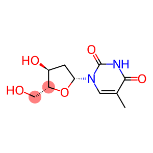 ANTI-THYMIDINE