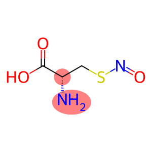 ANTI-NITROSOCYSTEINE ANTIBODY