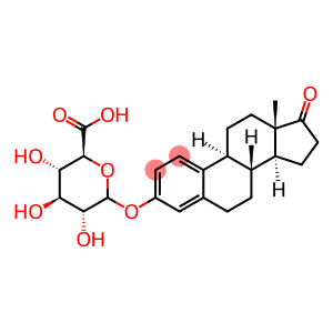 ANTI-ESTRONE-3-GLUCURONIDE