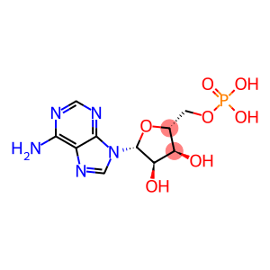 ANTI-ADENOSINE MONOPHOSPHATE