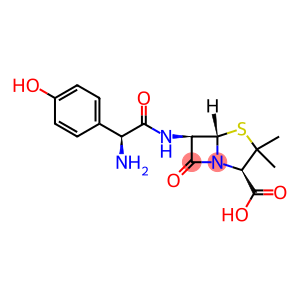 Amoxicillin-13C6